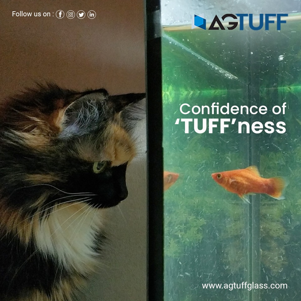 AG TUFF - Content Creation